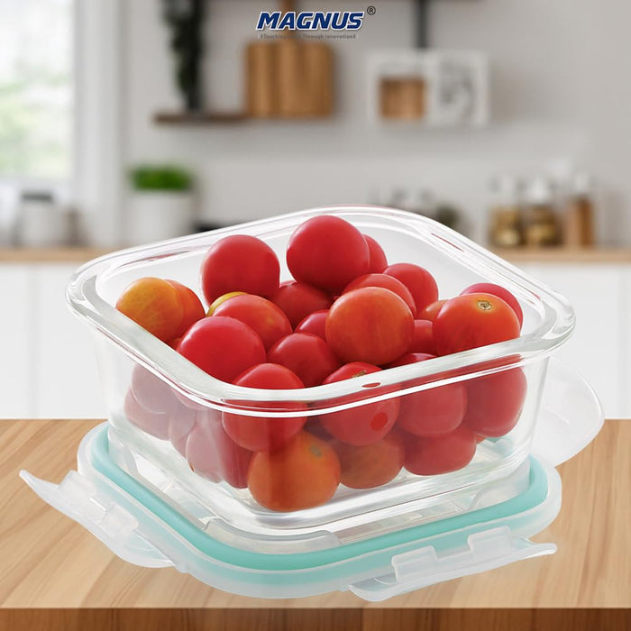 Vivid Glass Food Sqaure Container with Break-Free Detachable Lock – Oven & Microwave Safe Borosilicate Glass - 320ML